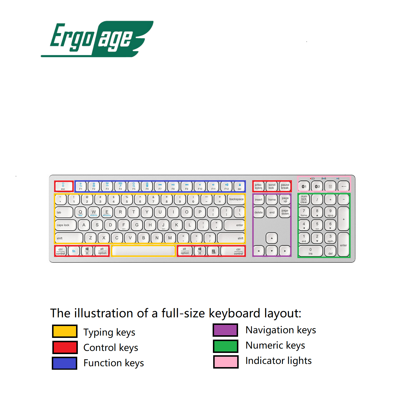 The basics of the keyboard size – Ergoage – Your Trustworthy Ergonomic